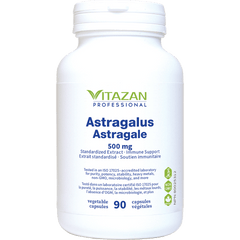 Astragalus