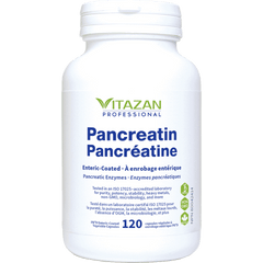 Pancreatin