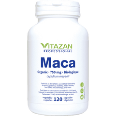 Maca
