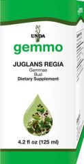 Juglans regia
