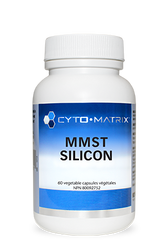 MMST Silicon