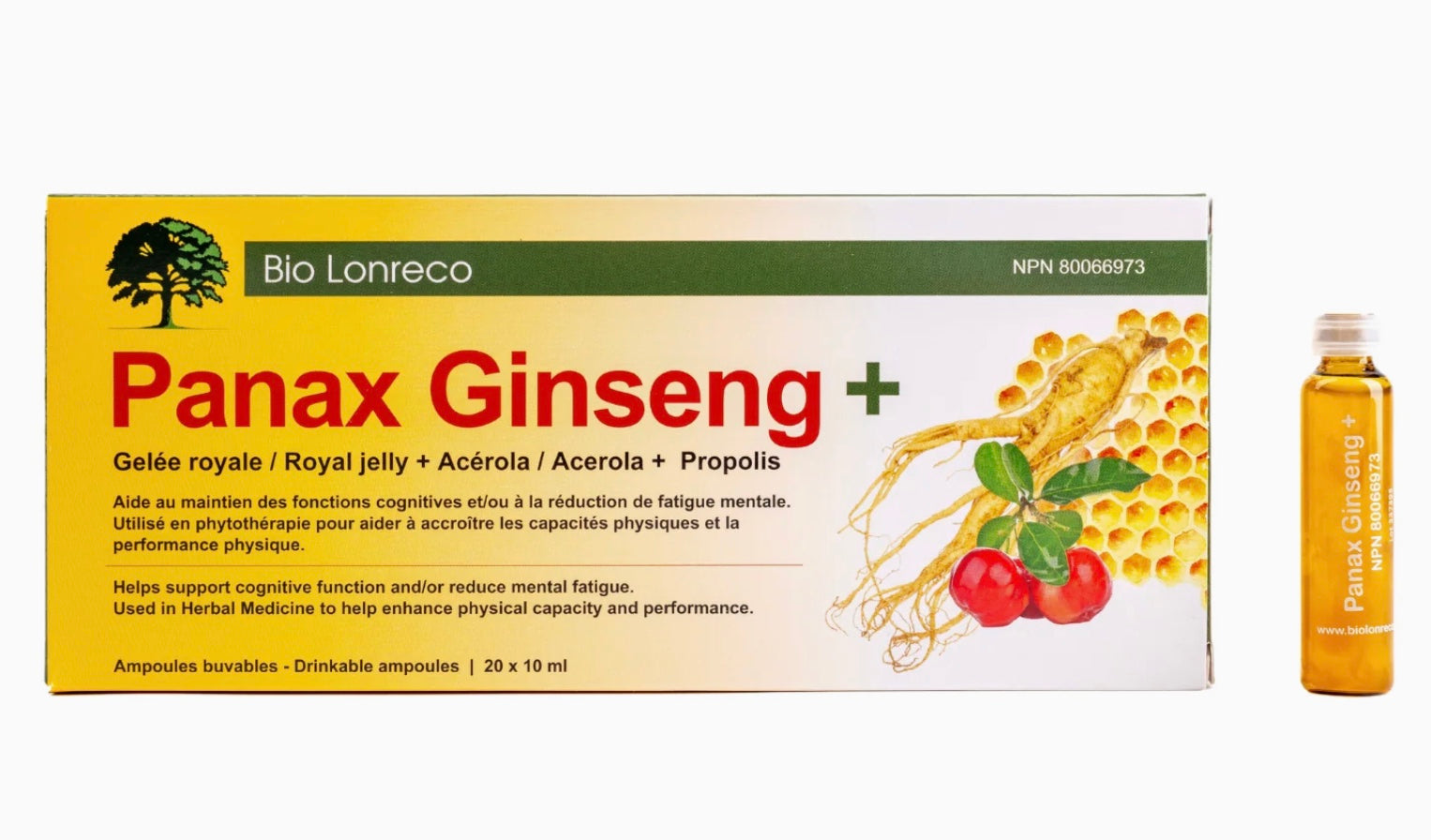 Panax Ginseng +