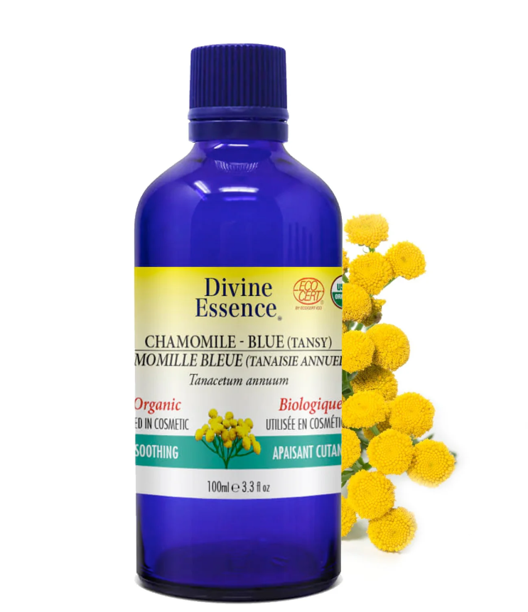 Camomille Bleue (Tanaisie Annuelle) Bio.