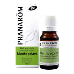 Menthe poivrée
