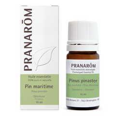 Pin maritime - oléorésine