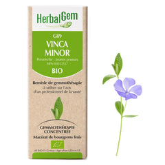 Vinca minor - G89 - pervenche mineure