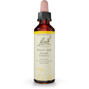 Wild oat - Folle avoine - Brome ramifié