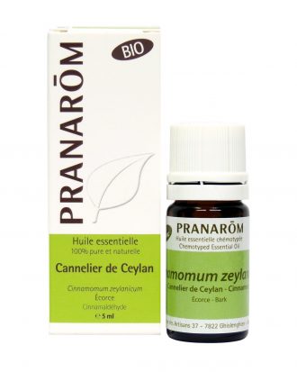 Cannelier de Ceylan