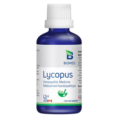 Lycopus