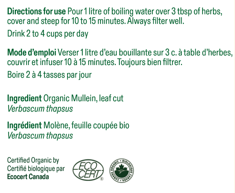 Molène - feuille coupée